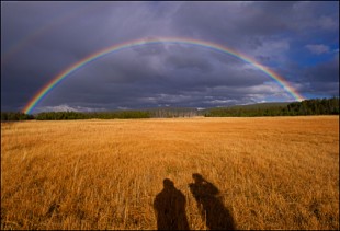 Brothers Under the Rainbow